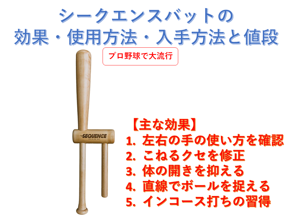 シークエンスバット Sequence Trainig Bat トレーニングバット 